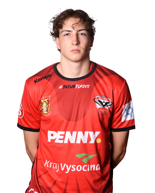 David Flajsar